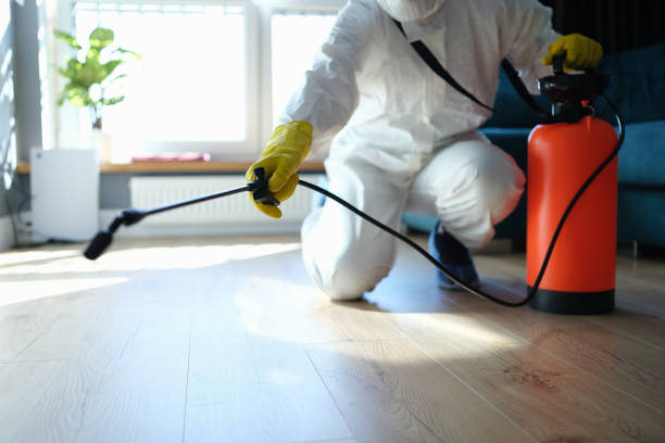 Reliable Infectious Disease Decontamination contractor in Squaw Valley, CA by Trauma Clean Pros
